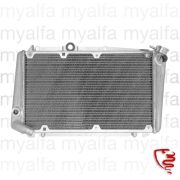 Aluminium Kühler natur Alfetta GTV 1. Serie 1974-81 Hochleistungsnetz